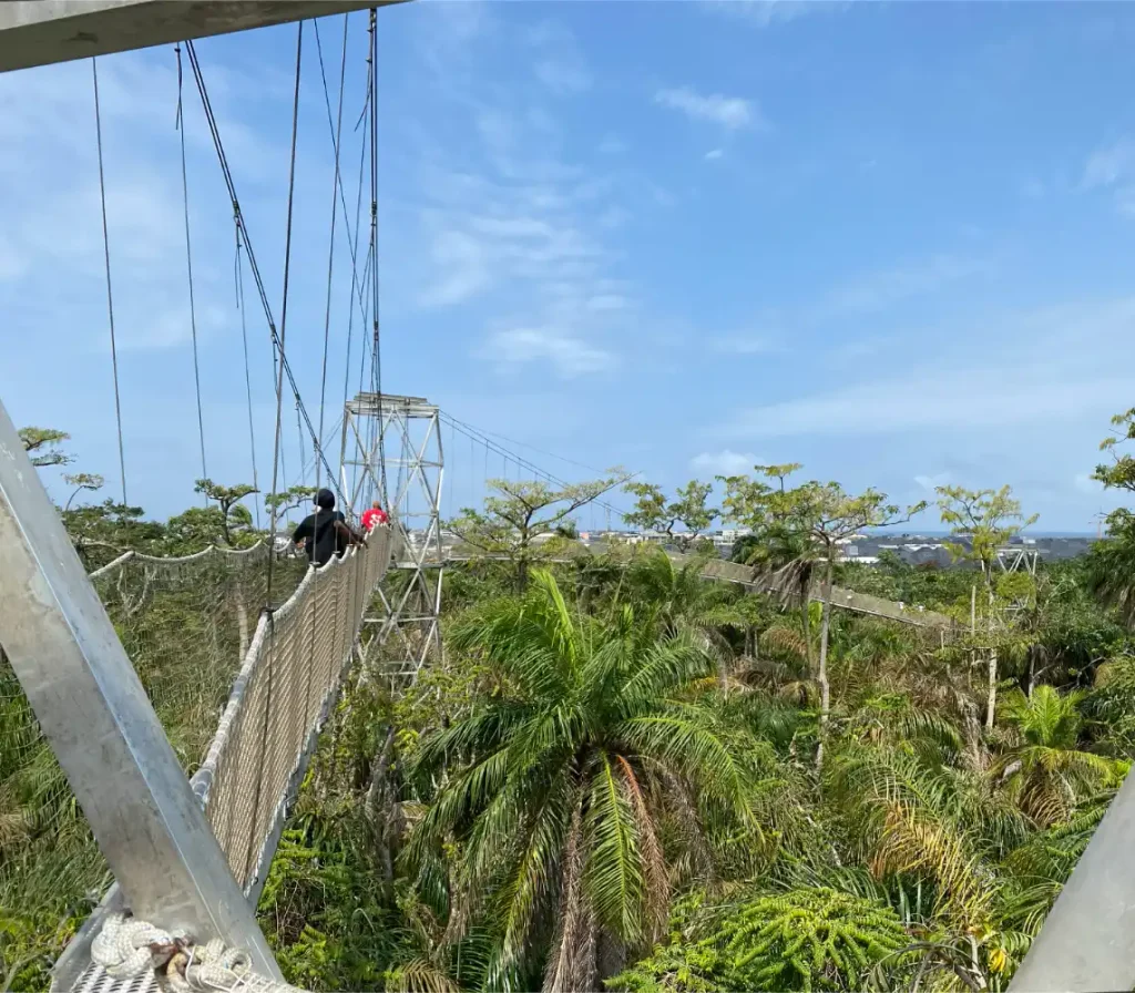 The Ultimate Lagos Date Guide: Discover 10 Memorable Ways To Connect 2 Canopy walkway above the trees at Lekki Conservation Centre in Lagos, Lagos date ideas, the wheatbaker