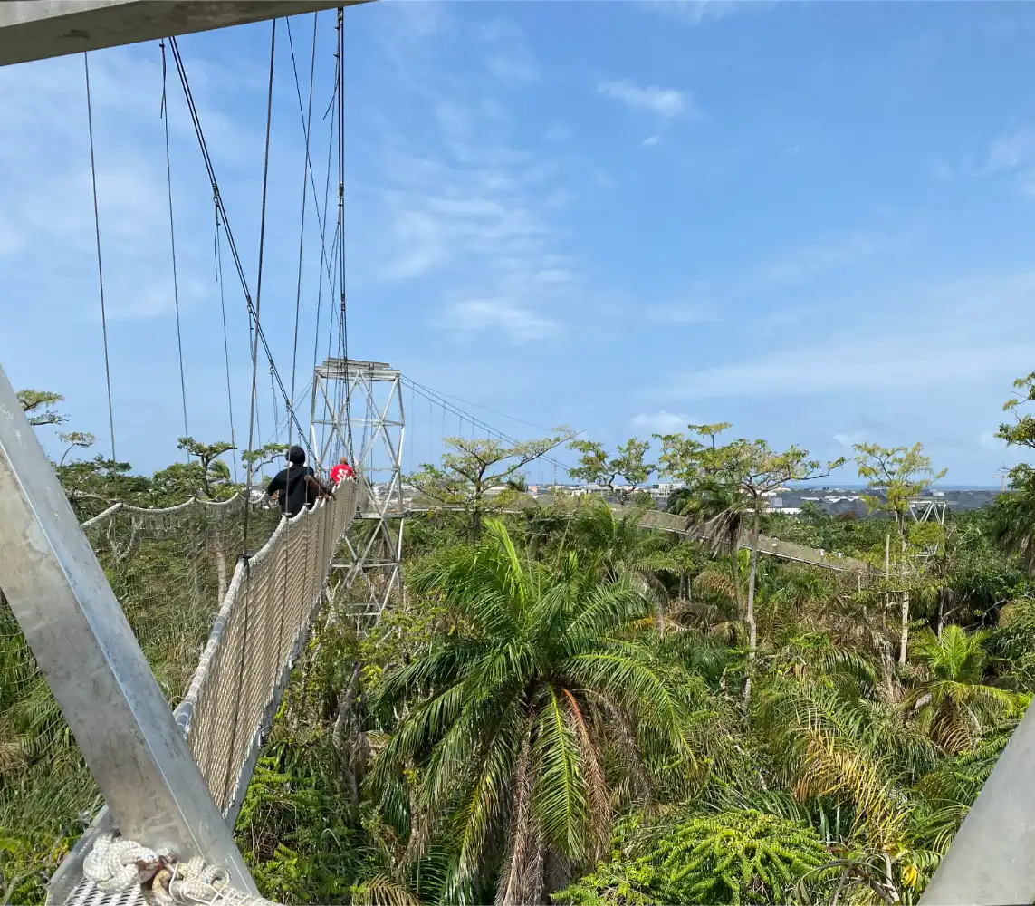 Lagos Weekend Bucket List 2026: 15 Brilliant Experiences To Try Before Monday 3 Canopy walkway through the forest at Lekki Conservation Centre Lagos