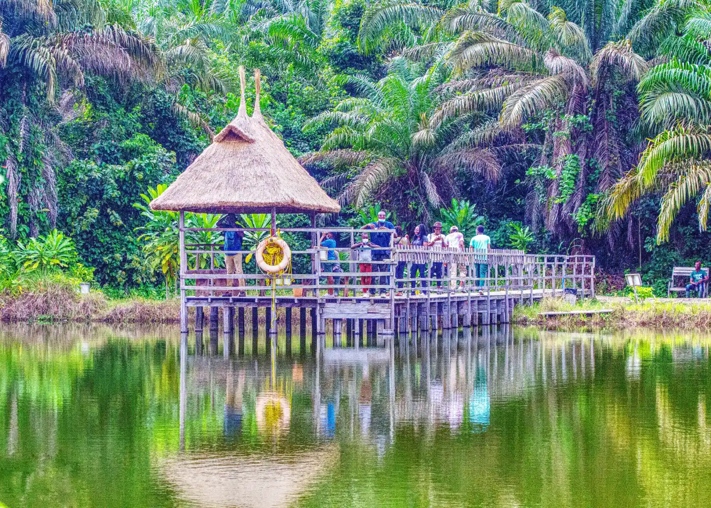 Lagos Weekend Bucket List 2026: 15 Brilliant Experiences To Try Before Monday 5 Green forest landscape at LUFASI Nature Park in Lekki Lagos